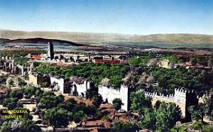 Mansourah - Tlemcen